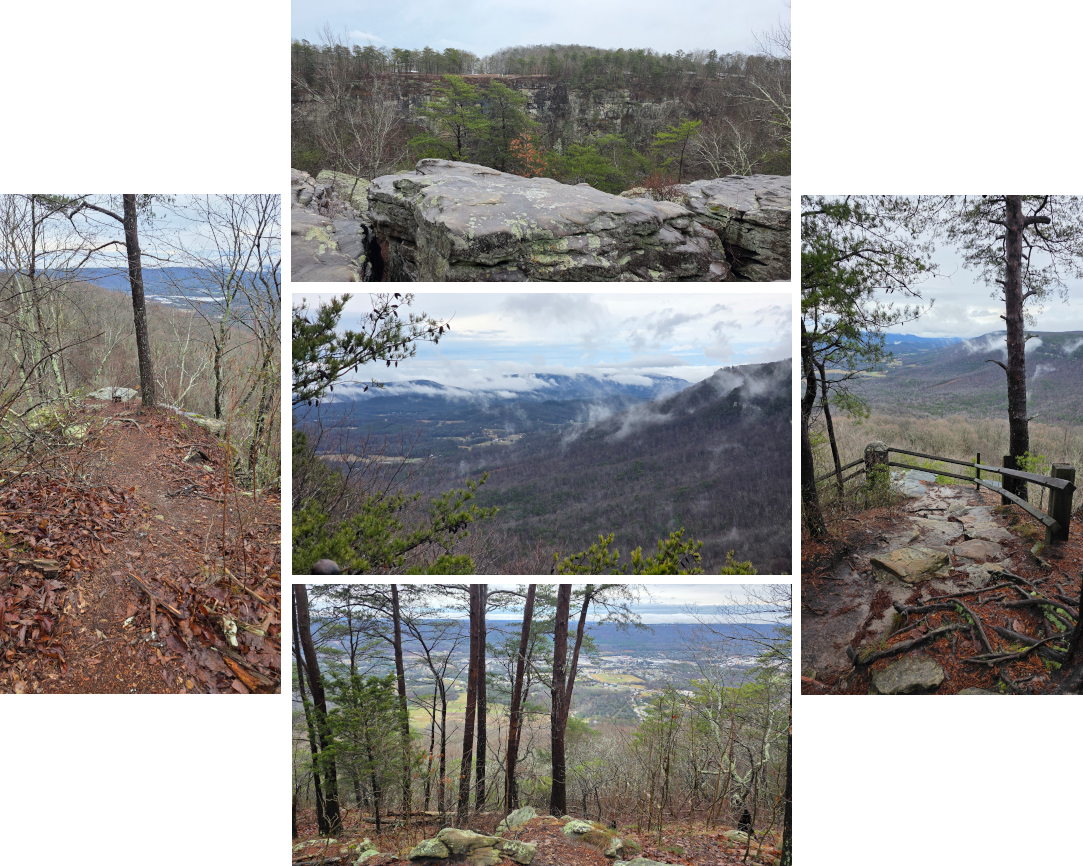 Composite image of views from rim.